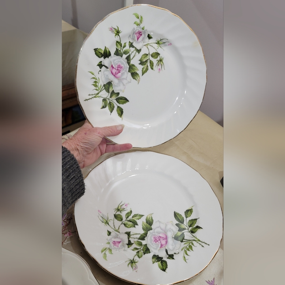 Floral Roses Dinner Plates 10"